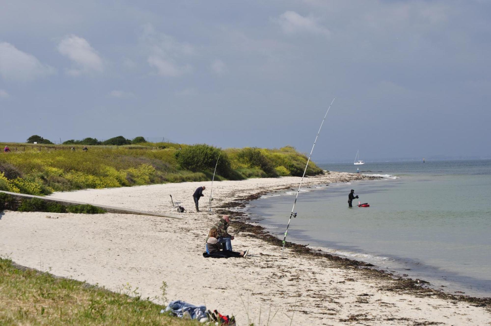 Panorama Vue Mer Quiberon Zewnętrze zdjęcie
