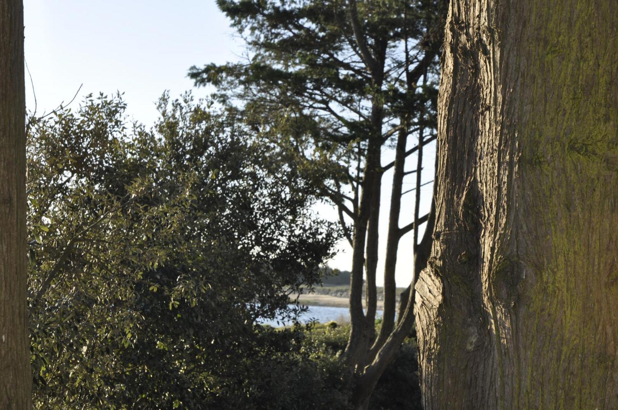 Panorama Vue Mer Quiberon Zewnętrze zdjęcie