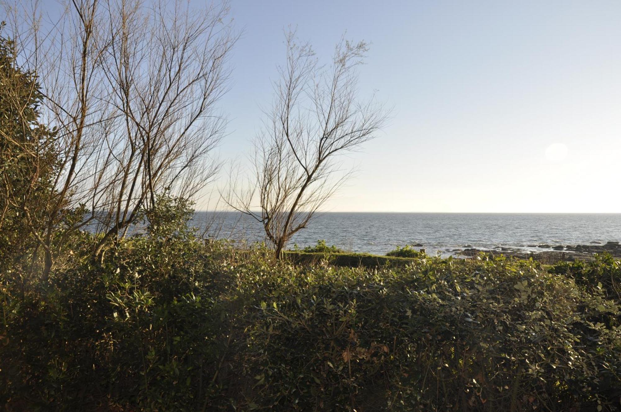 Panorama Vue Mer Quiberon Zewnętrze zdjęcie
