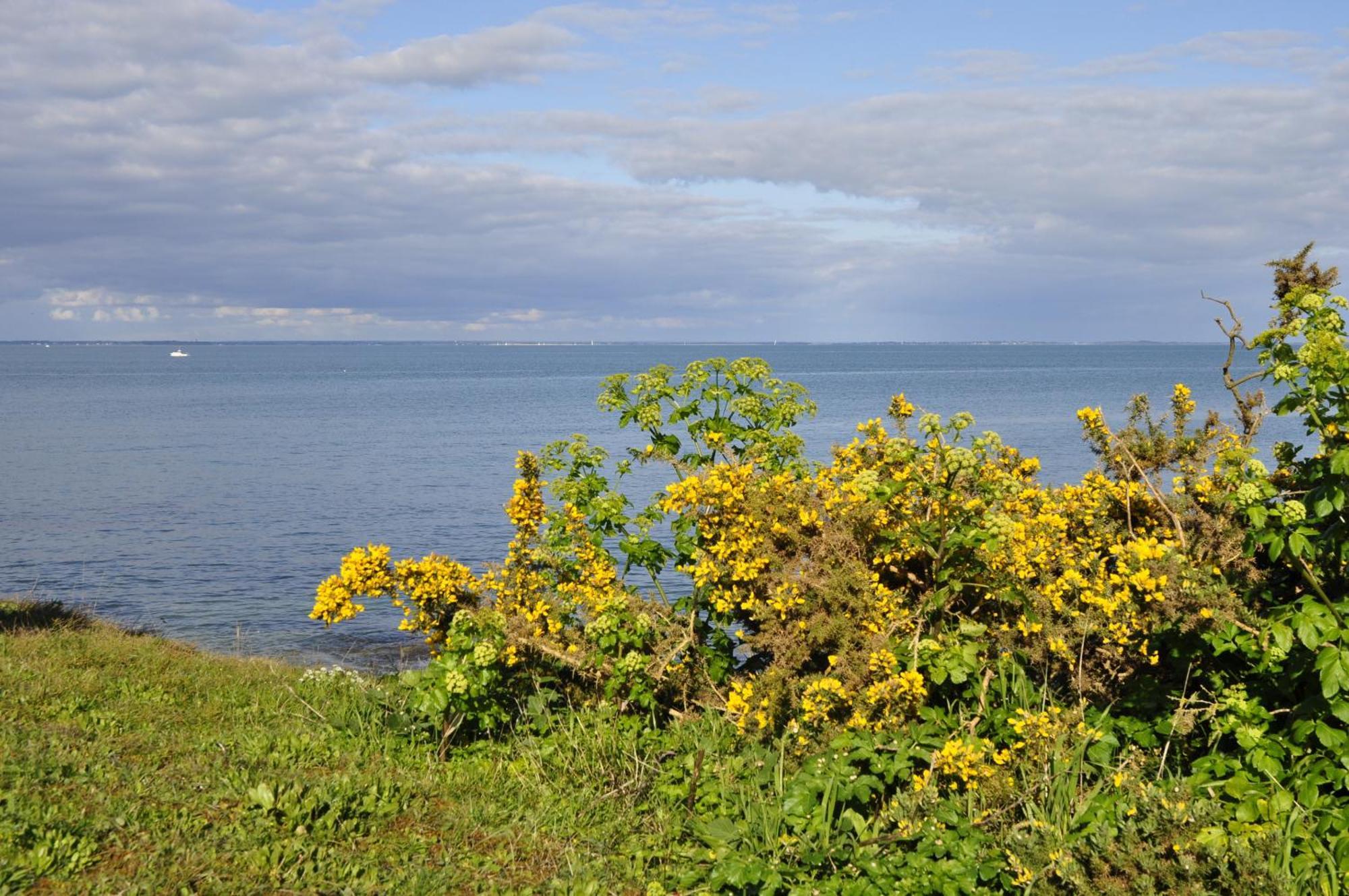 Panorama Vue Mer Quiberon Pokój zdjęcie