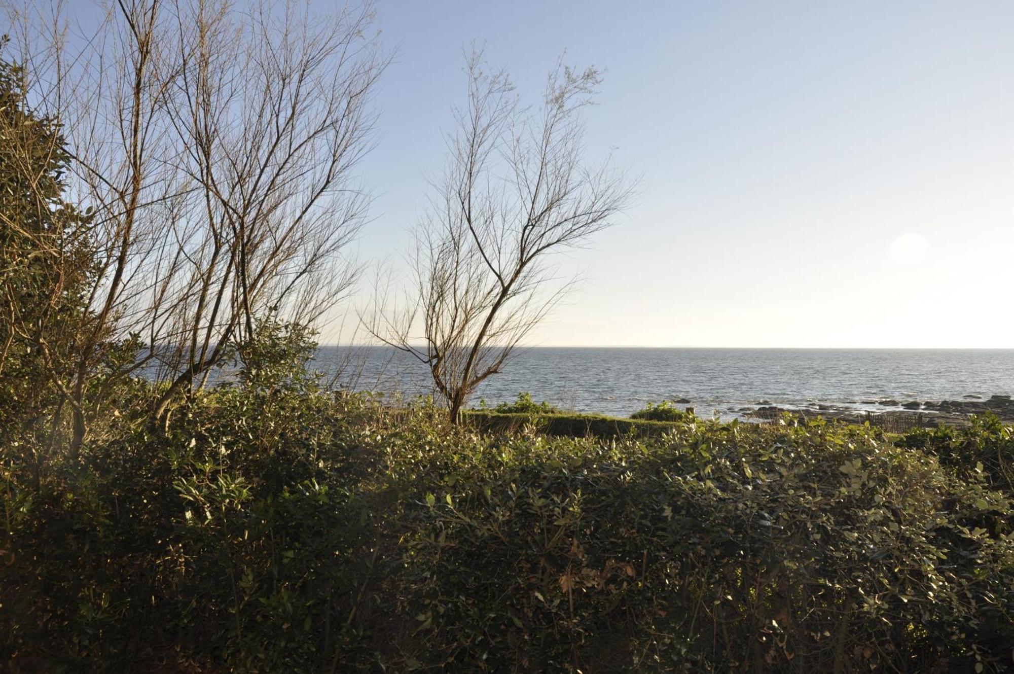 Panorama Vue Mer Quiberon Zewnętrze zdjęcie